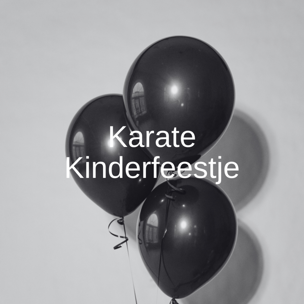 Karate Kinderfeestje
